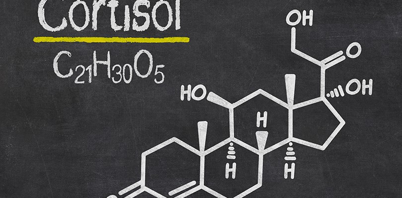 Cortisol